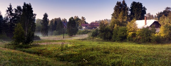 Mokřady v Jindřichově