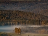 mg_2486