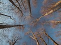 _mg_5347-2